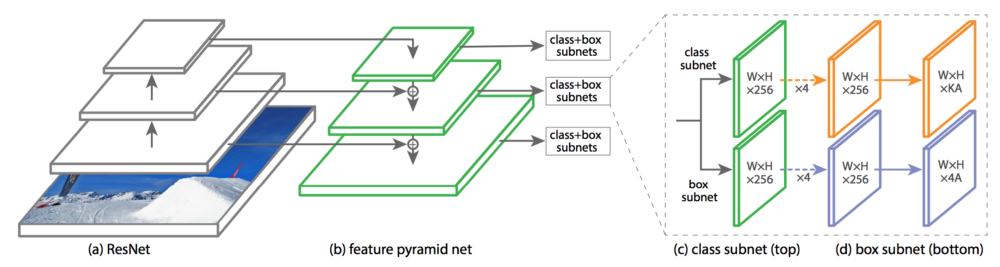 retina architecture